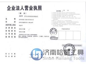 Business License of Jinan Haliang