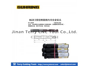Tungsten Carbide Stainless Steel Cutting Tools/End Mill Bit